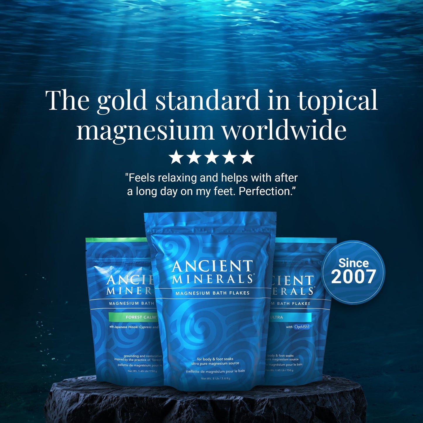 Ancient Minerals Magnesium Bath Flakes Ultra with OptiMSM – Pure Zechstein Magnesium Chloride and Organic Sulfur Bath Salts, - Maple Wellness Supplements