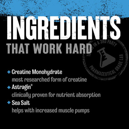 Animal Creatine Chews Tablets - Enhanced Creatine Monohydrate with AstraGin - Maple Wellness Supplements