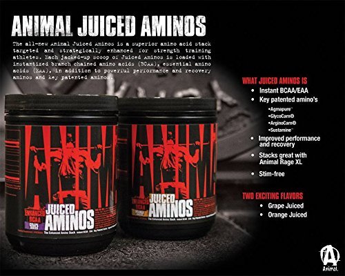 Animal Creatine Chews Tablets - Enhanced Creatine Monohydrate with AstraGin to Improve - Maple Wellness Supplements