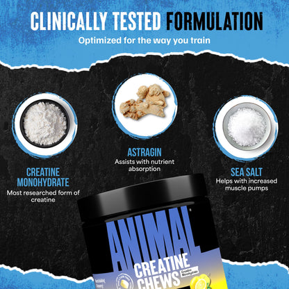Animal Creatine Chews Tablets - Enhanced Creatine Monohydrate with AstraGin to Improve Absorption, Sea Salt for Added Pumps, Delicious and Convenient Chewable Tablets - Lemon Ice - Maple Wellness Supplements