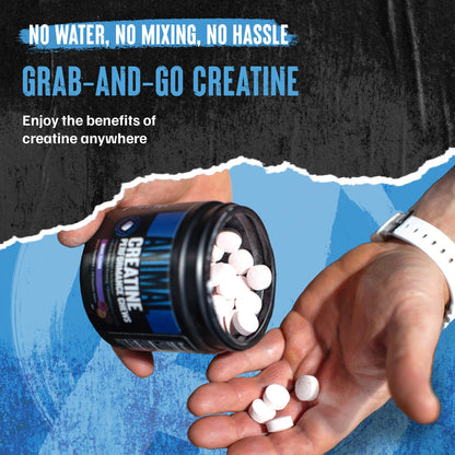 Animal Creatine Chews Tablets - Enhanced Creatine Monohydrate with AstraGin to Improve Absorption, Sea Salt for Added Pumps, Delicious and Convenient Chewable Tablets - Lemon Ice - Maple Wellness Supplements