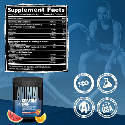 Animal Creatine HMB Powder – 3g myHMB + 5g Creatine with Electrolytes for Recovery & Daily Energy – Power Punch Flavor, 30 Servings - Maple Wellness Supplements