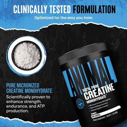 Animal Creatine Monohydrate Powder - Micronized Creatine for Women and Men, Supports Muscle Growth, Strength, Endurance, Recovery and ATP Production, - Maple Wellness Supplements