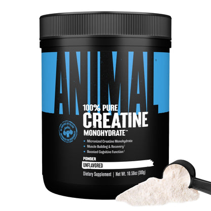 Animal Creatine Monohydrate Powder — Micronized for Muscle Recovery, Cellular Energy, and Daily Wellness — for Men and Women - Maple Wellness Supplements