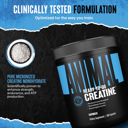 Animal Micronized Creatine Monohydrate Capsules - 300 Caps, 2500mg per Serving to Support Muscle Growth, Endurance, ATP Production, Cognitive Function, Strength - Maple Wellness Supplements