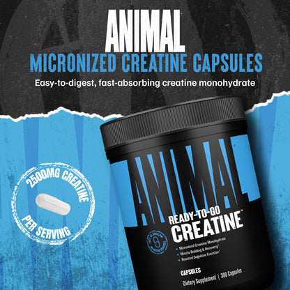 Animal Micronized Creatine Monohydrate Capsules - 300 Caps, 2500mg per Serving to Support Muscle Growth, Endurance, ATP Production, Cognitive Function, Strength - Maple Wellness Supplements