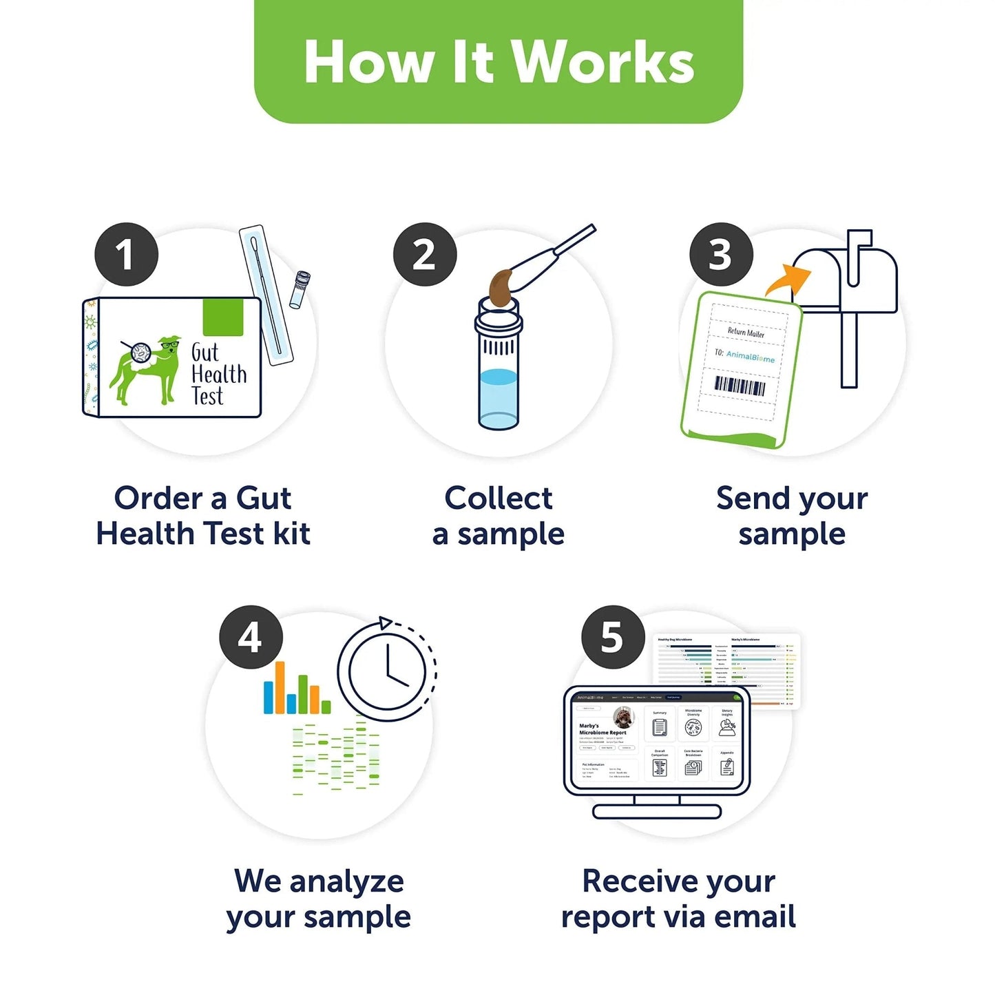 AnimalBiome Dog Gut Health Test – DoggyBiome At Home Stool Testing Kit, Canine Fecal Analysis for Digestive Issues, Diarrhea & Allergy Insights w/Personalized Report & Custom Plan (Dogs in US) - Maple Wellness Supplements