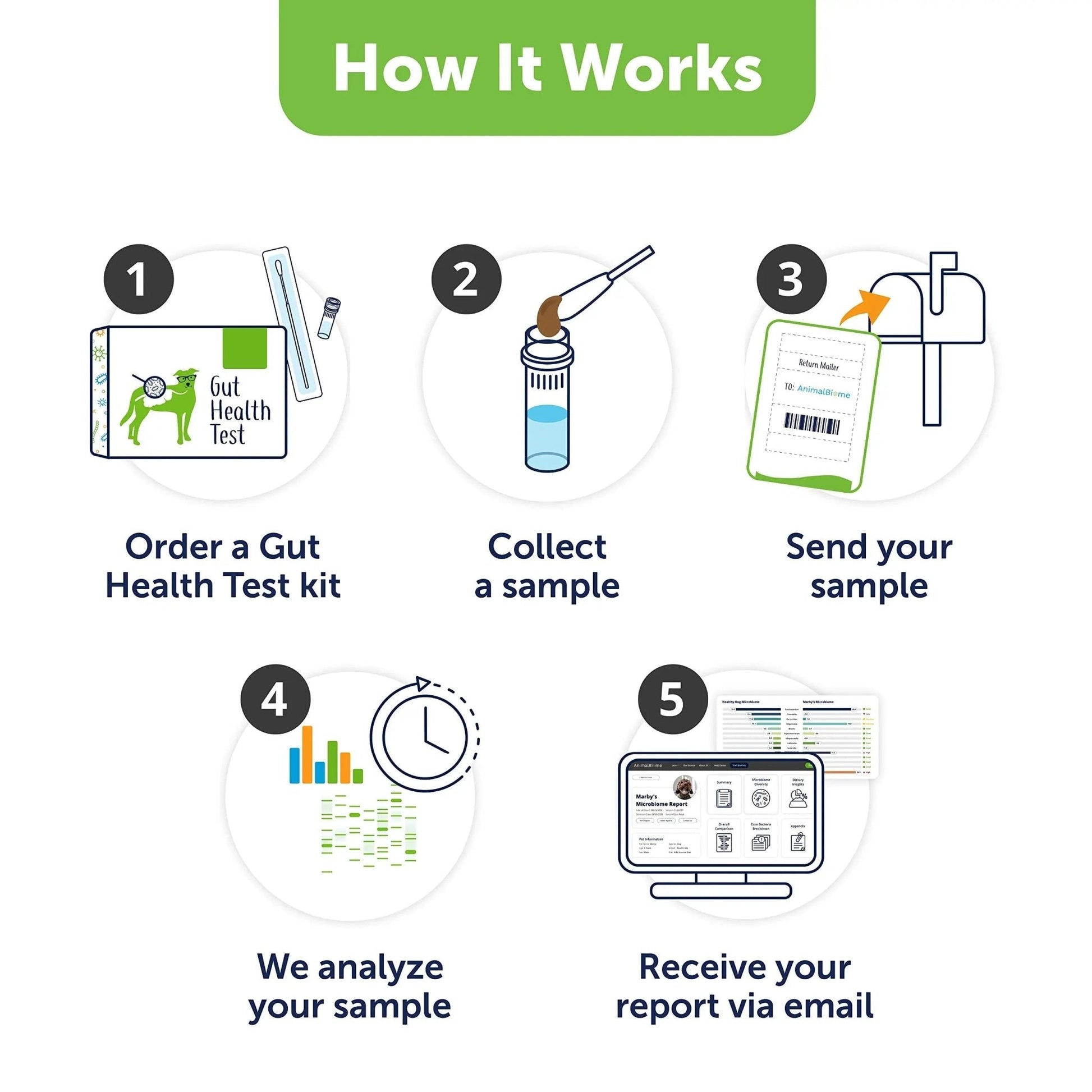 AnimalBiome Dog Gut Health Test – DoggyBiome At Home Stool Testing Kit, Canine Fecal Analysis for Digestive Issues, Diarrhea & Allergy Insights w/Personalized Report & Custom Plan (Dogs in US) - Maple Wellness Supplements