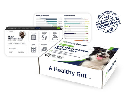 AnimalBiome Dog Gut Health Test – DoggyBiome At Home Stool Testing Kit, Canine Fecal Analysis for Digestive Issues, Diarrhea & Allergy Insights w/Personalized Report & Custom Plan (Dogs Outside US) - Maple Wellness Supplements