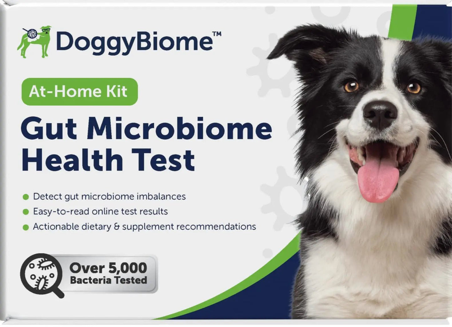 AnimalBiome Dog Gut Health Test – DoggyBiome At Home Stool Testing Kit, Canine Fecal Analysis for Digestive Issues, Diarrhea & Allergy Insights w/Personalized Report & Custom Plan (Dogs in US) - Maple Wellness Supplements