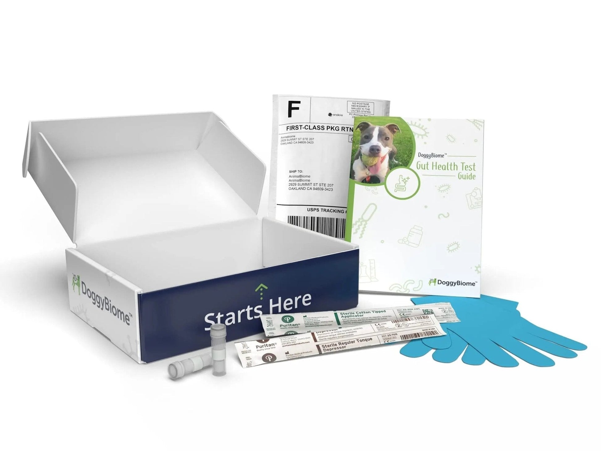 AnimalBiome Dog Gut Health Test – DoggyBiome At Home Stool Testing Kit, Canine Fecal Analysis for Digestive Issues, Diarrhea & Allergy Insights w/Personalized Report & Custom Plan (Dogs in US) - Maple Wellness Supplements