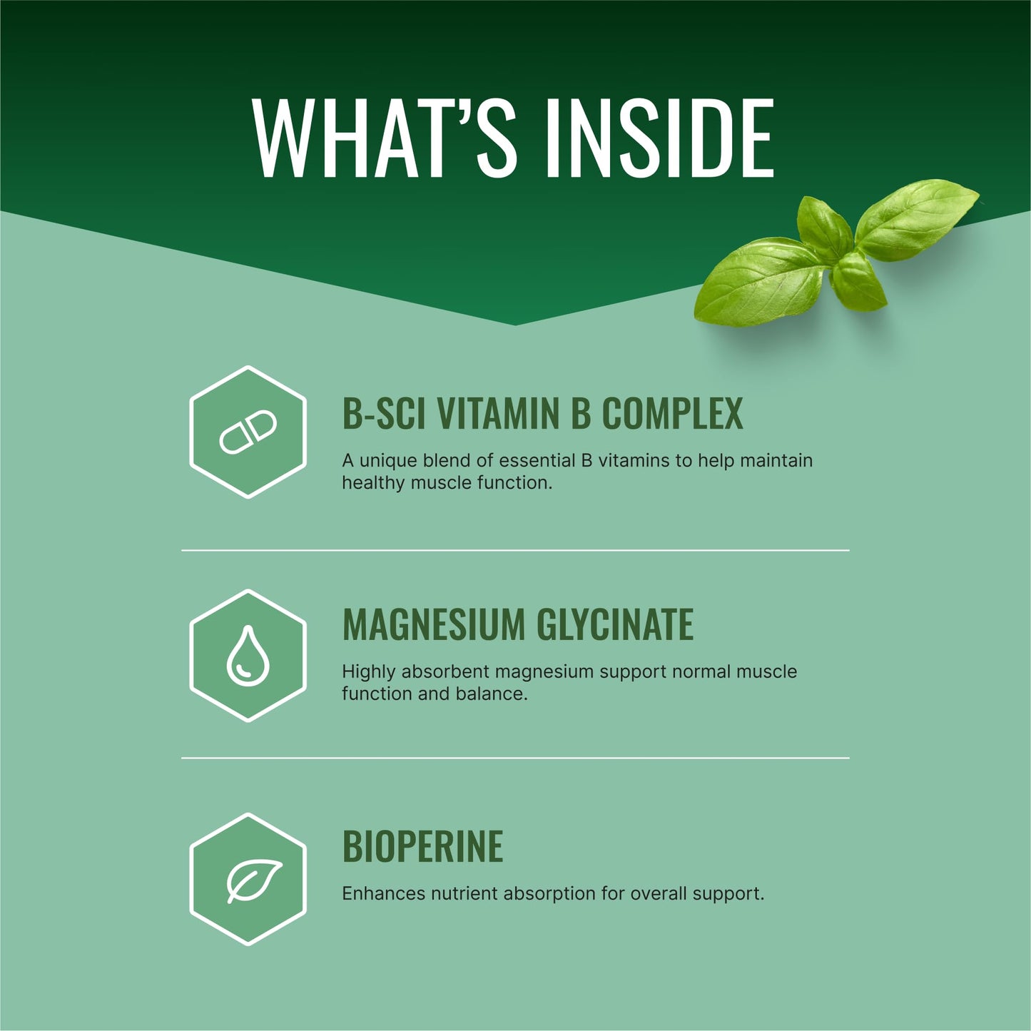 Approved Science Cramprin - High Absorption Magnesium, Vitamin B Complex, BioPerine - Muscle Cramps - 6 Month Supply - 2 Bottles - Vegan - Maple Wellness Supplements