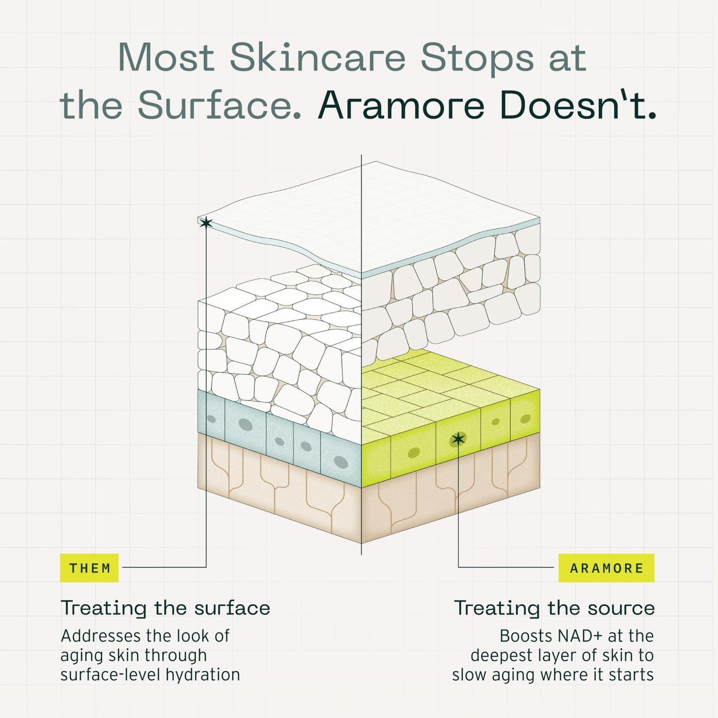 Aramore NAD+ Cell Energizing Skin Care Treatment with Proprietary NAD+ Precursor Complex, Clinically Proven to Target 12 Signs of Aging - 15ml - Maple Wellness Supplements
