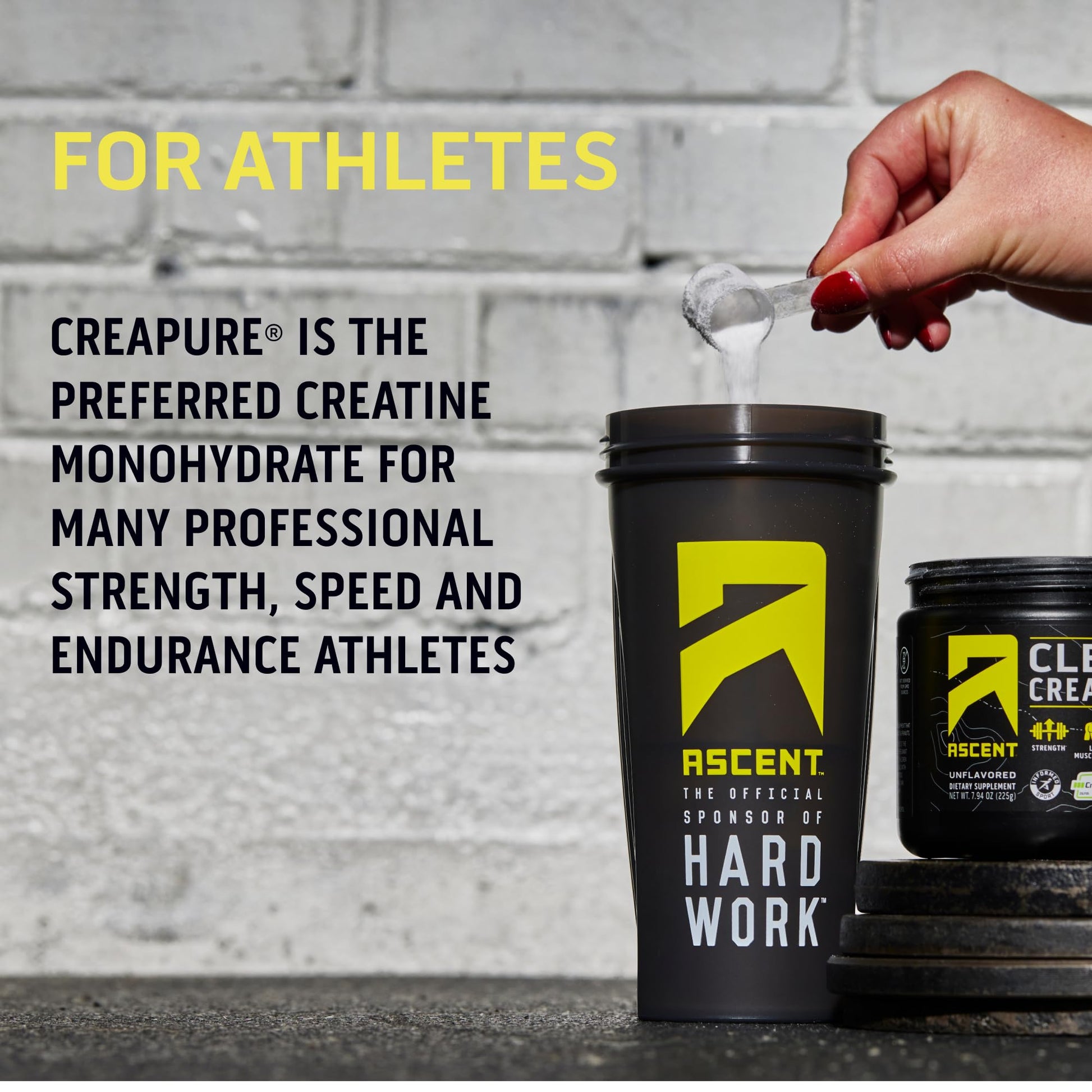 Ascent Clean Creatine Monohydrate Powder - 5G Per Serving, Creapure Creatine Supple - Maple Wellness Supplements