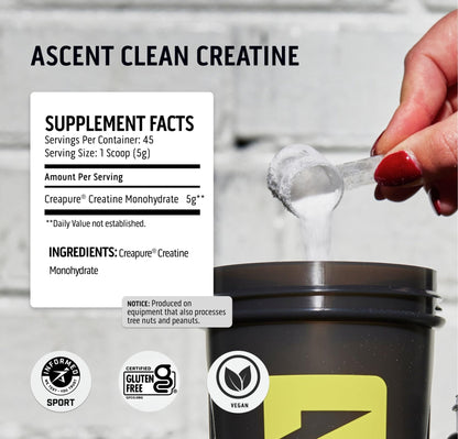 Ascent Clean Creatine Monohydrate Powder - 5G Per Serving, Creapure Creatine Supple - Maple Wellness Supplements