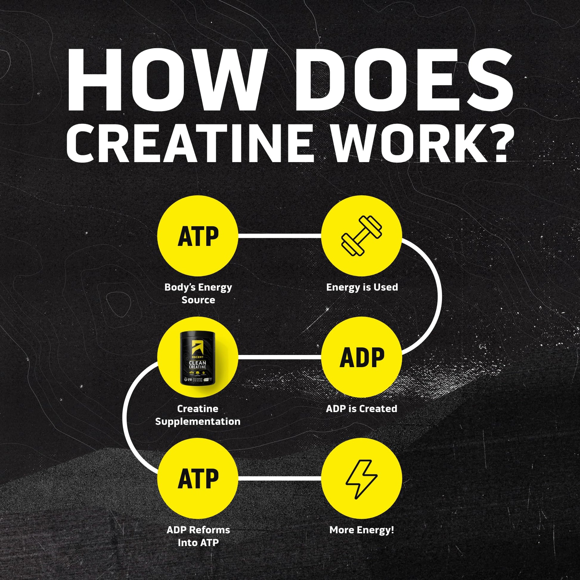 Ascent Clean Creatine Monohydrate Powder - 5G Per Serving, Creapure Creatine Supplement - Unflavored, 100 Servings - Maple Wellness Supplements