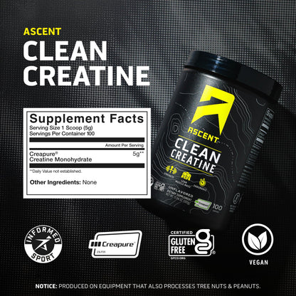 Ascent Clean Creatine Monohydrate Powder - 5G Per Serving, Creapure Creatine Supplement - Unflavored, 100 Servings - Maple Wellness Supplements