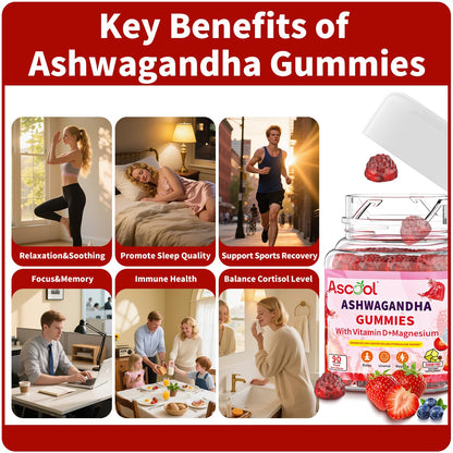 Ascool Ashwagandha Gummies for Stress Relief & Clam with Magnesium + Vitamin D – 90 Count Sugar-Free, Vegan Ashwa Supplements - Maple Wellness Supplements