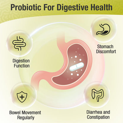 Ascuoli Probiotics for Women & Men - 300 Billion CFU, 24 Strains Probiotics + 15 Organic Herbs Blend, Daily Probiotic for Digestive Health, - Maple Wellness Supplements
