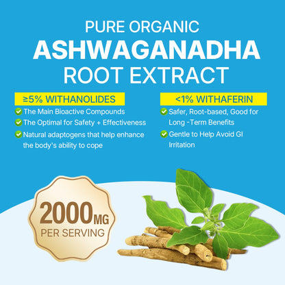 Ashwagandha Gummies 2000mg for Women Men - Sugar Free, Vegan - Organic Ashwagandha Root Extract Supplements Gummy & Vitamin D3 - Maple Wellness Supplements