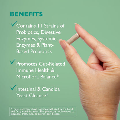AST Enzymes Floracor - Supports Gut & Intestinal Health - Premium Probiotic, Prebiotic and Enzyme Formula - 60 Vegetarian Capsules - Maple Wellness Supplements