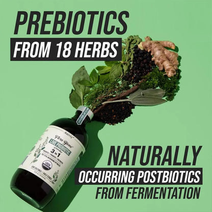 Auivty Flora Biome Live Probiotic Liquid, 3-in-1 Probiotic + Prebiotic + Postbiotic, 30 Billion CFU (at Time of Manufacture), 10 Strains, Fermented Herbal Blend with 18 Herbs, Shelf Stable, 16 fl oz - Maple Wellness Supplements