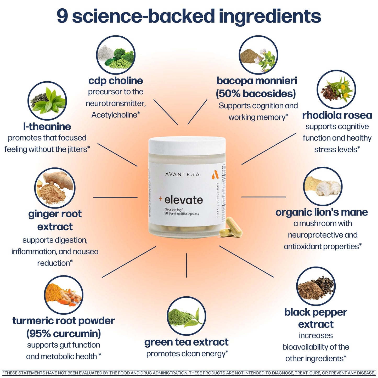 Avantera Elevate Premium Nootropic Supplement - Beat Brain Fog - Best Focus Supplements for Memory & Focus Support - Energy Without Crash - Maple Wellness Supplements