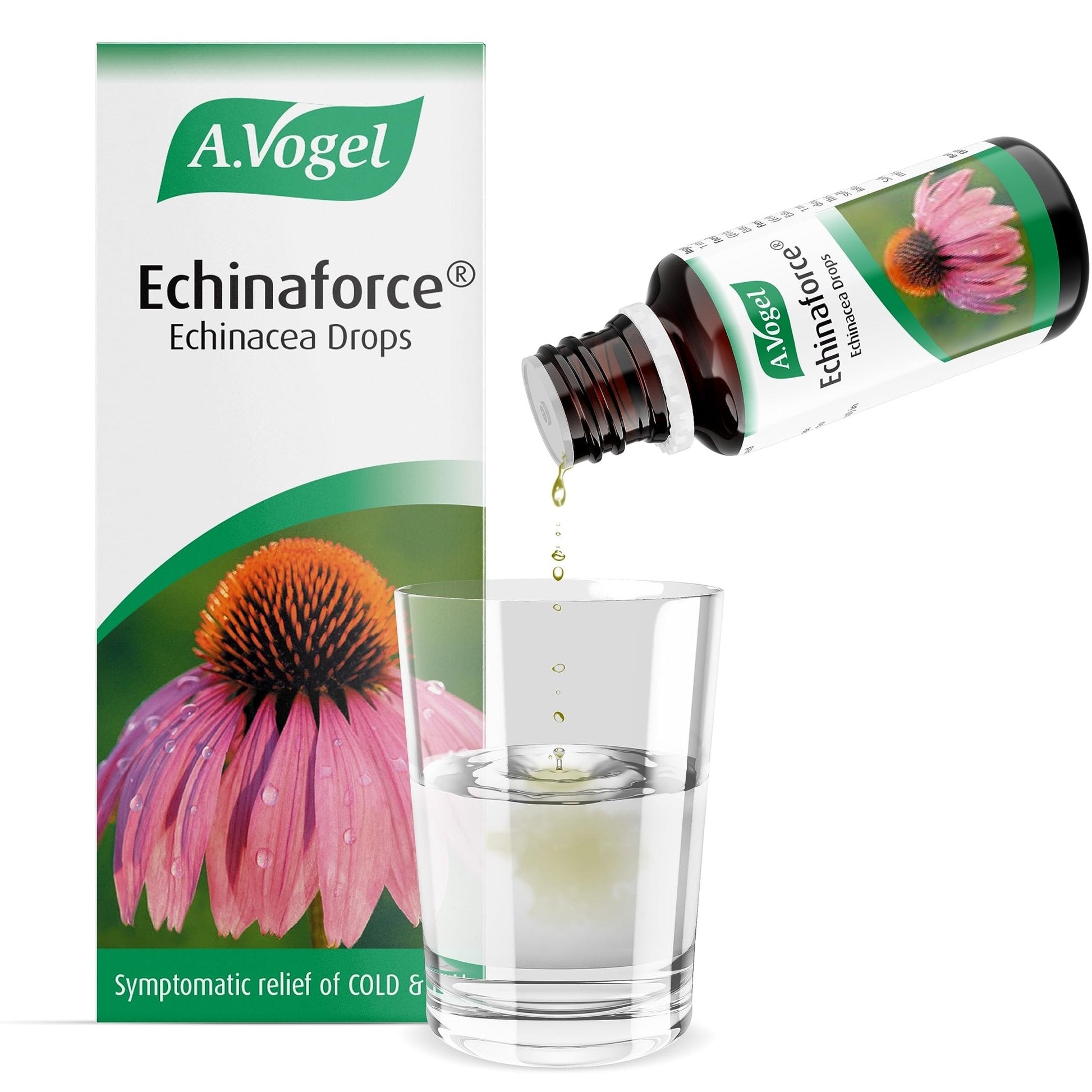 A.Vogel Echinaforce Echinacea Drops | Relieves Cold & Flu Symptoms by Strengthening - Maple Wellness Supplements
