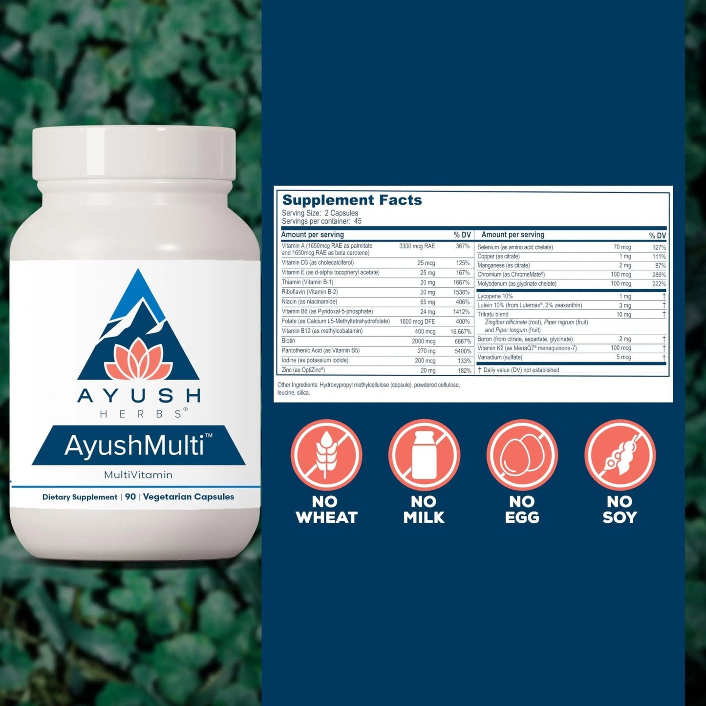 Ayush Herbs Ayush Multi - Multi Vitamin Capsules, Multivitamin with Iodine & Zinc for Men & Women - Maple Wellness Supplements