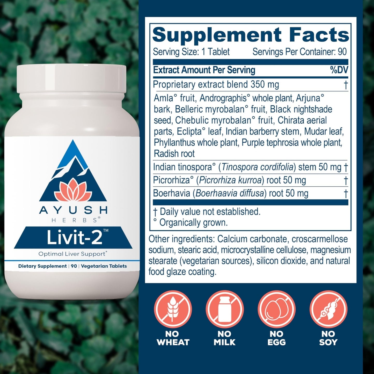 Ayush Herbs Livit-2 - Liver Care, Liver Support Supplement for Women & Men with Andrographis & Picrorhiza, Liver Pills Made with Organic Ingredients - 90 Servings - Maple Wellness Supplements