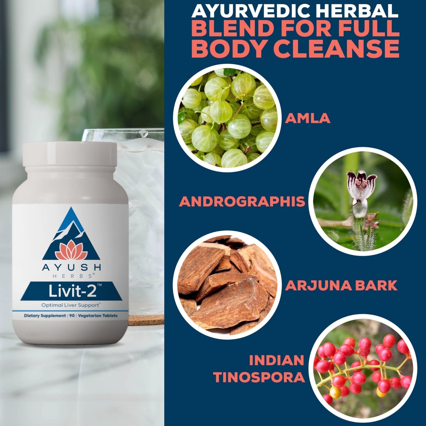Ayush Herbs Livit-2 - Liver Care, Liver Support Supplement for Women & Men with Andrographis & Picrorhiza, Liver Pills Made with Organic Ingredients - 90 Servings - Maple Wellness Supplements
