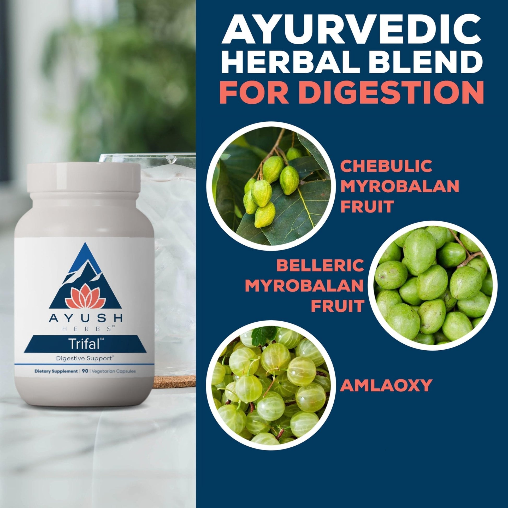 Ayush Herbs Trifal Digestive Support with Amla - Triphala Supplement for Women & Men, Promotes Balanced Digestion, Antioxidant Rich, Made with Organic Ingredients - 90 Vegetarian Capsules (1 Count) - Maple Wellness Supplements