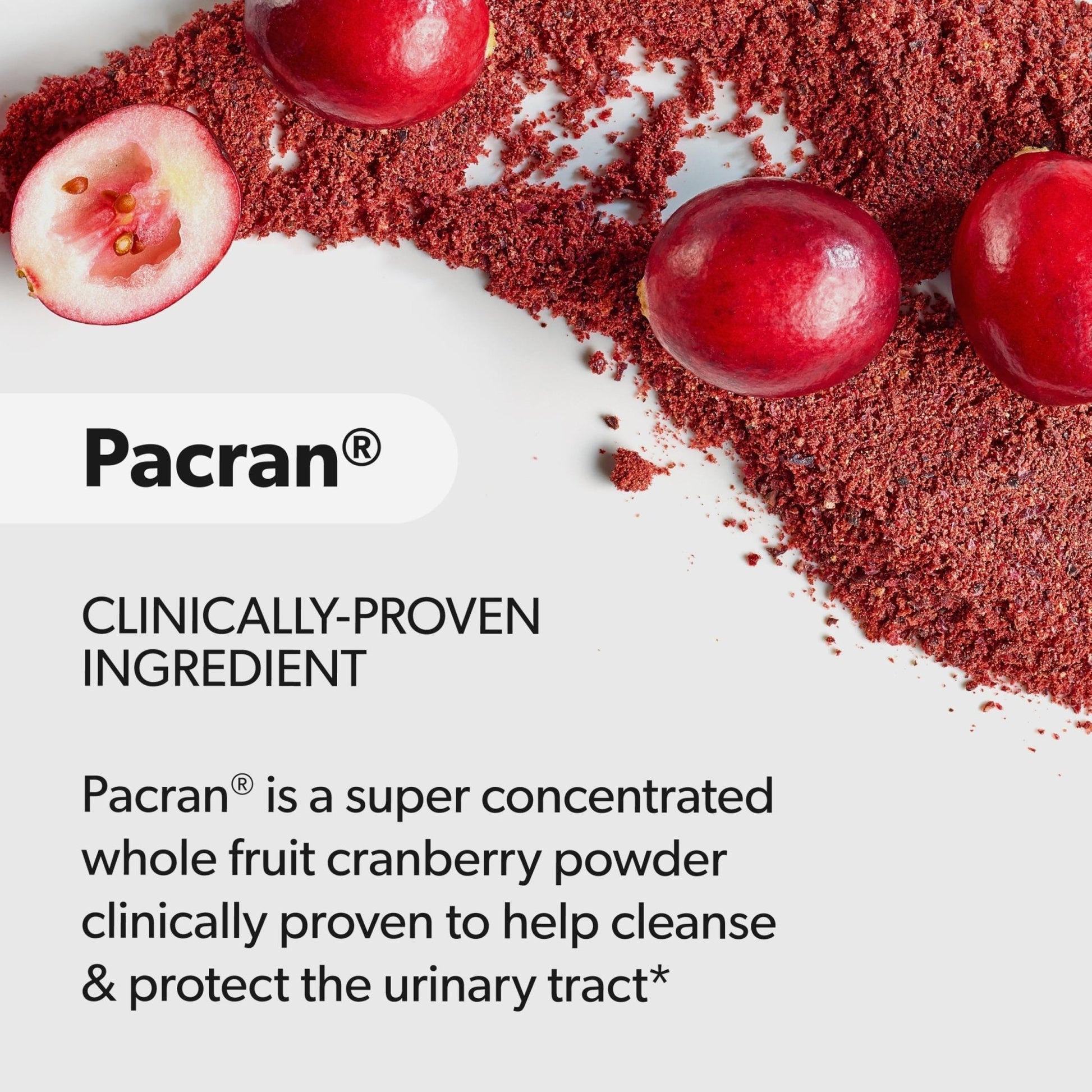 AZO Cranberry Supplement, Made with Concentrated Whole Fruit Cranberry Powder to Help Cleanse and Protect the Urinary Tract - Maple Wellness Supplements