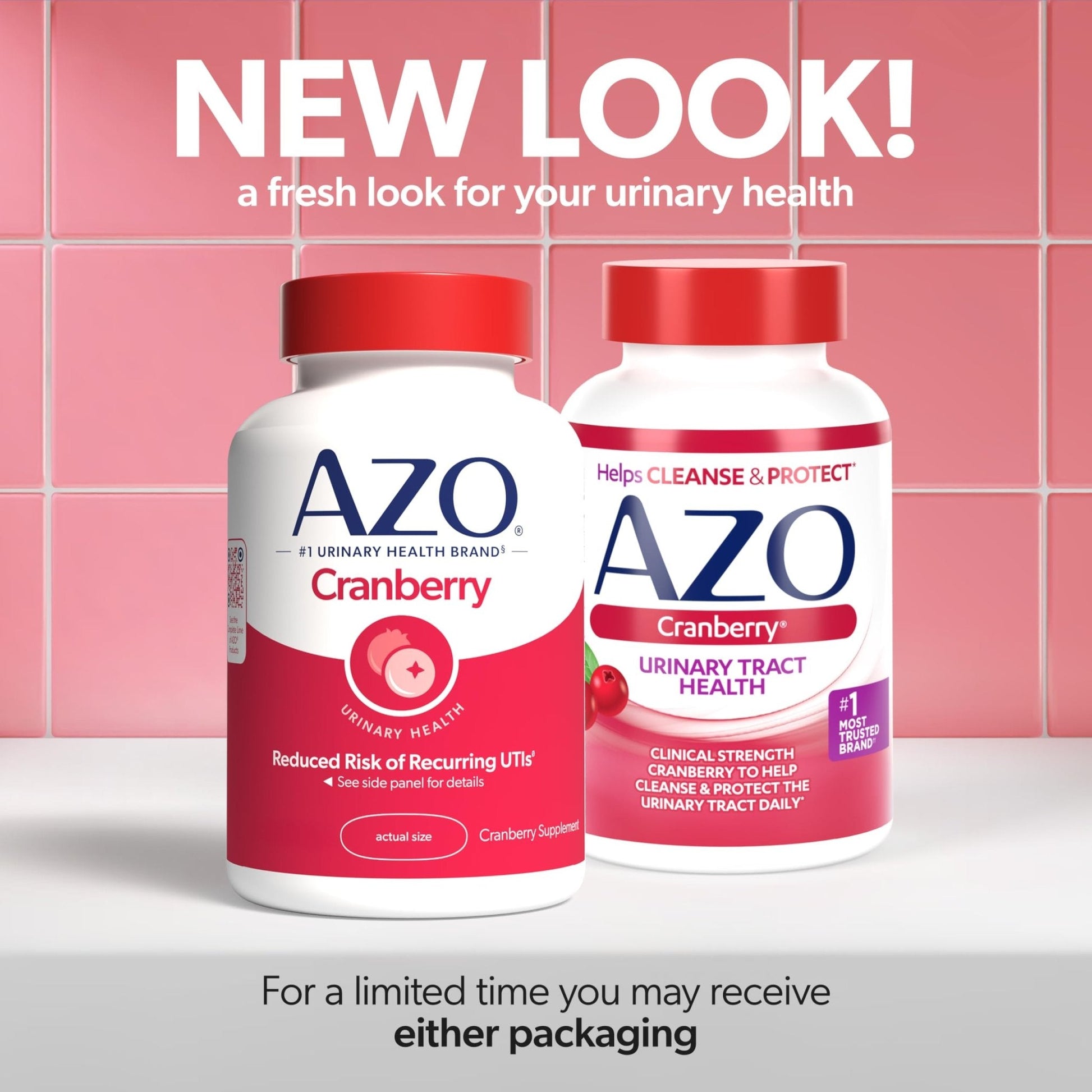 AZO Cranberry Supplement, Made with Concentrated Whole Fruit Cranberry Powder to Help Cleanse and Protect the Urinary Tract - Maple Wellness Supplements