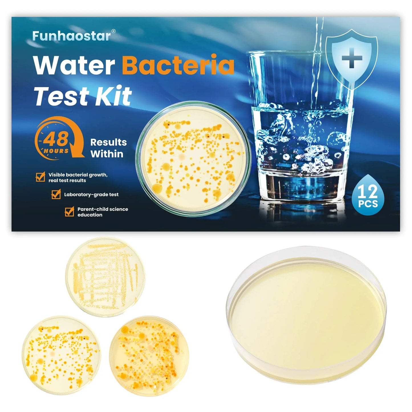 Bacteria Test Kits for Drinking Water - 12 Tests Detect Coliform, E.coli & All Bacteria | Home Quality Testing Kit for Well, Tap, Pool, Hot Tub & City Water | Easy DIY Tester with Free Lab Analysis - Maple Wellness Supplements