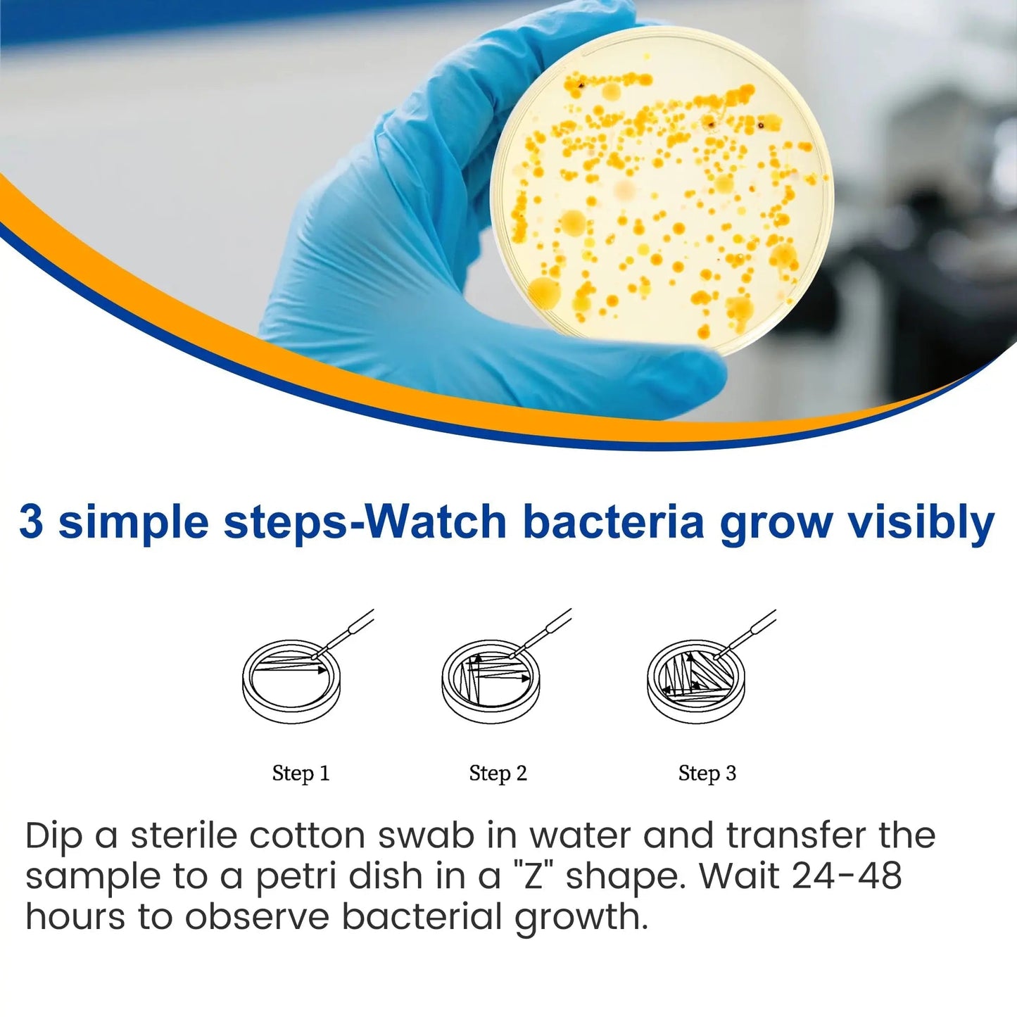 Bacteria Test Kits for Drinking Water - 12 Tests Detect Coliform, E.coli & All Bacteria | Home Quality Testing Kit for Well, Tap, Pool, Hot Tub & City Water | Easy DIY Tester with Free Lab Analysis - Maple Wellness Supplements