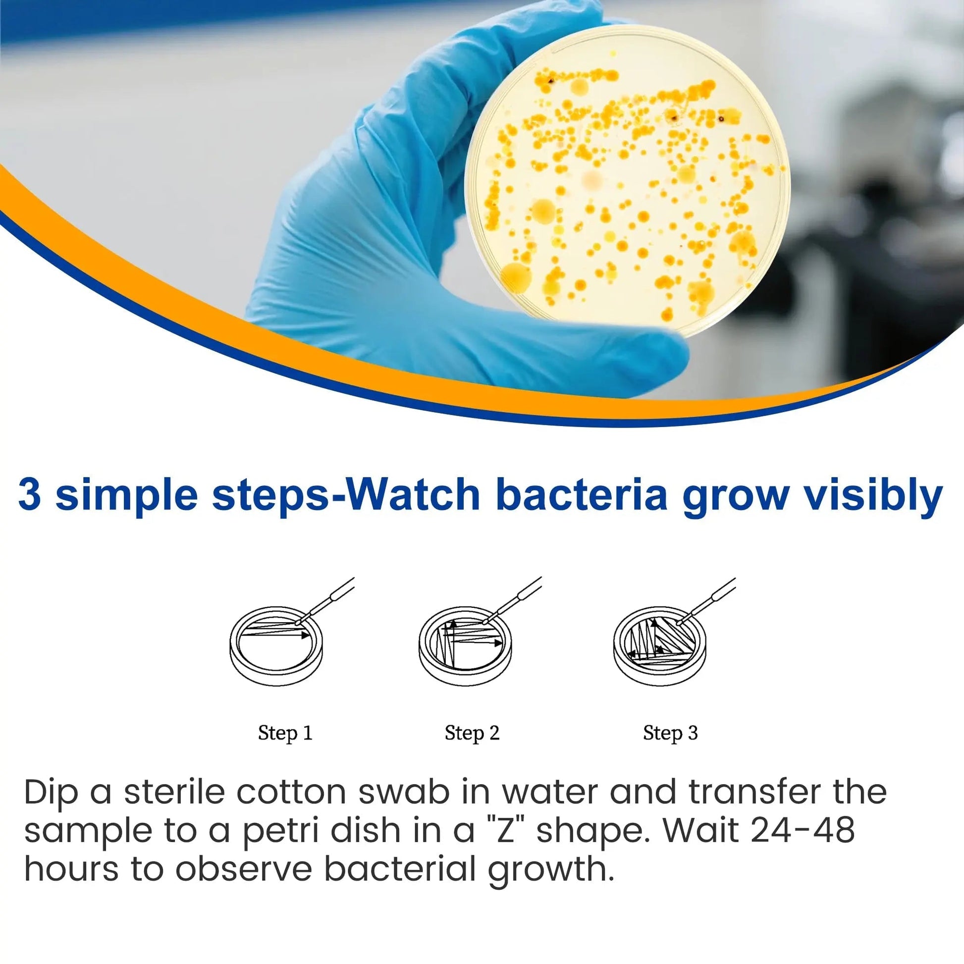 Bacteria Test Kits for Drinking Water - 12 Tests Detect Coliform, E.coli & All Bacteria | Home Quality Testing Kit for Well, Tap, Pool, Hot Tub & City Water | Easy DIY Tester with Free Lab Analysis - Maple Wellness Supplements