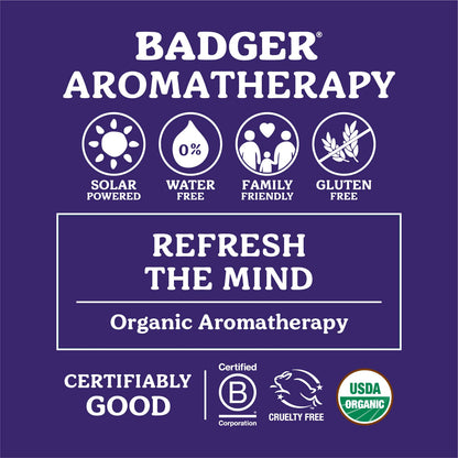 Badger Headache Soother - .6 oz Stick - Maple Wellness Supplements