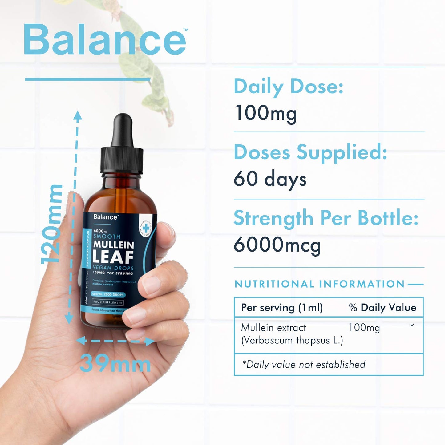Balance Mullein Leaf Liquid Drops - 60ml for 2 Month Supply - High Strength - Vegan - Maple Wellness Supplements