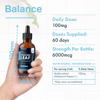 Balance Mullein Leaf Liquid Drops - 60ml for 2 Month Supply - High Strength - Vegan - Maple Wellness Supplements
