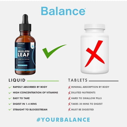 Balance Mullein Leaf Liquid Drops - 60ml for 2 Month Supply - High Strength - Vegan - Maple Wellness Supplements