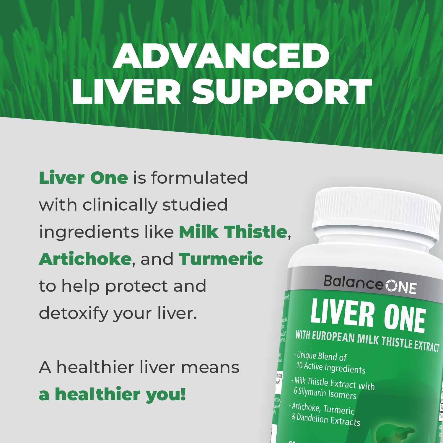 Balance ONE Liver Support Supplement with Milk Thistle, Molybdenum, Dandelion Root & Choline – Liver Health, Detox Pathway & Antioxidant Support – Vegan Capsules, 1 Month Supply – Liver One - Maple Wellness Supplements