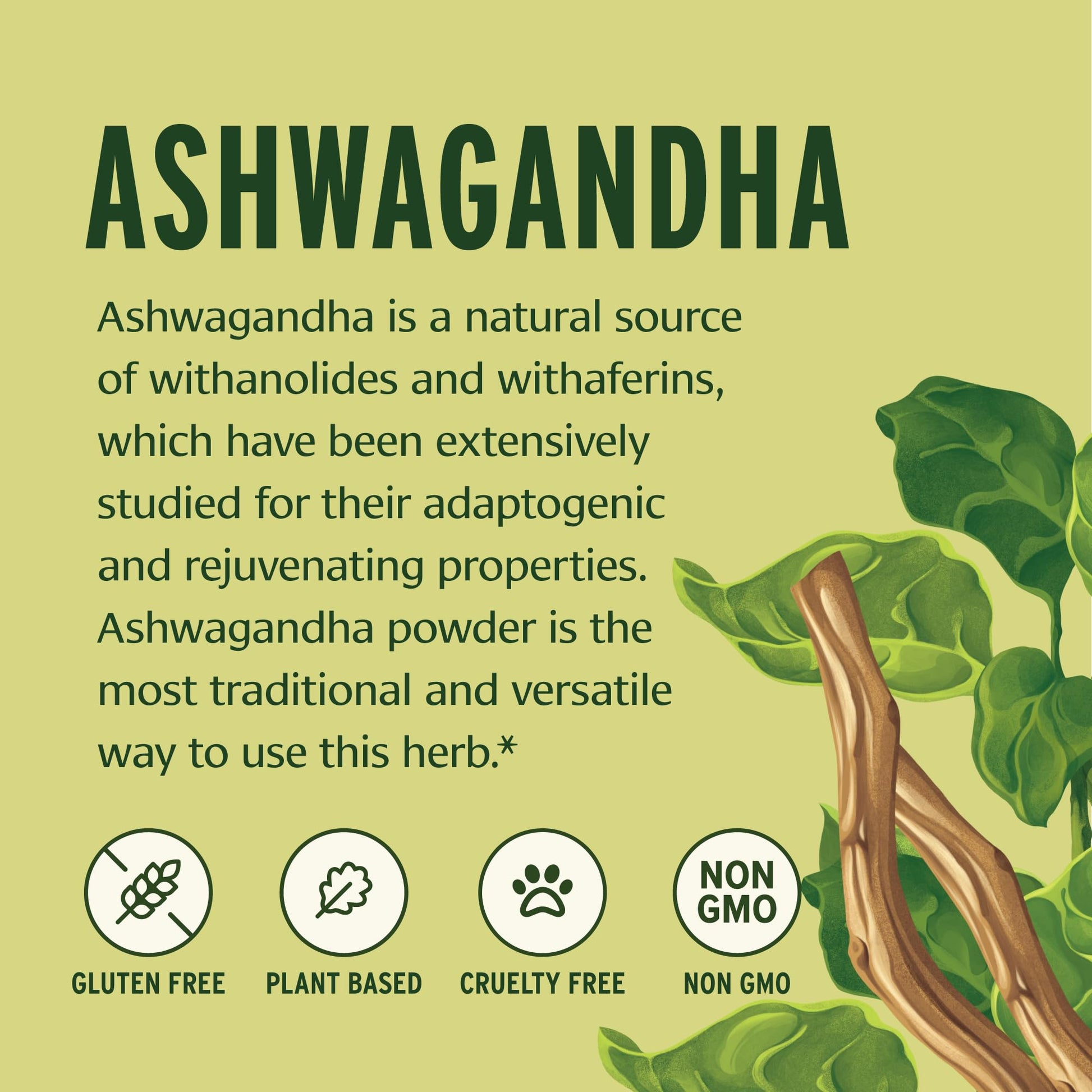 Banyan Botanicals Organic Ashwagandha Root Powder–1lb Bulk (504 Servings)Natural Cortisol Manager & Adrenal Support–Stress Relief, Better Sleep & Energy–Adaptogen for Smoothies & Moon Milk–Vegan,FFL* - Maple Wellness Supplements