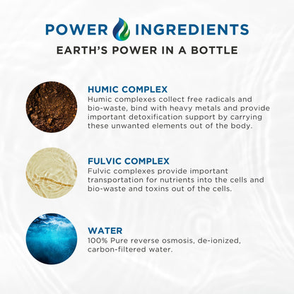 Beam Minerals Complete Multi-Mineral Capsules | Electro-Boost Plant-Based Electrolytes and Micronutrients for Men and Women | Help to Boost Immunity, Support Gut Health - Maple Wellness Supplements