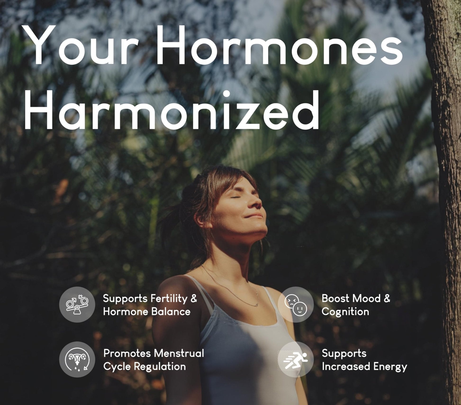 Beef Organ Supplement for Women | Supports Hormone Balance | Ovary, Uterus & Reproductive Nourishment + Liver, Kidney & Heart for Cycle Harmony - Maple Wellness Supplements
