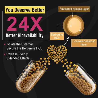 Berberine Supplement 1200mg Berberine HCL - High Bioavailability Microbeadlet - Maple Wellness Supplements