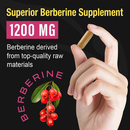 Berberine Supplement 1200mg Berberine HCL - High Bioavailability Microbeadlet - Maple Wellness Supplements
