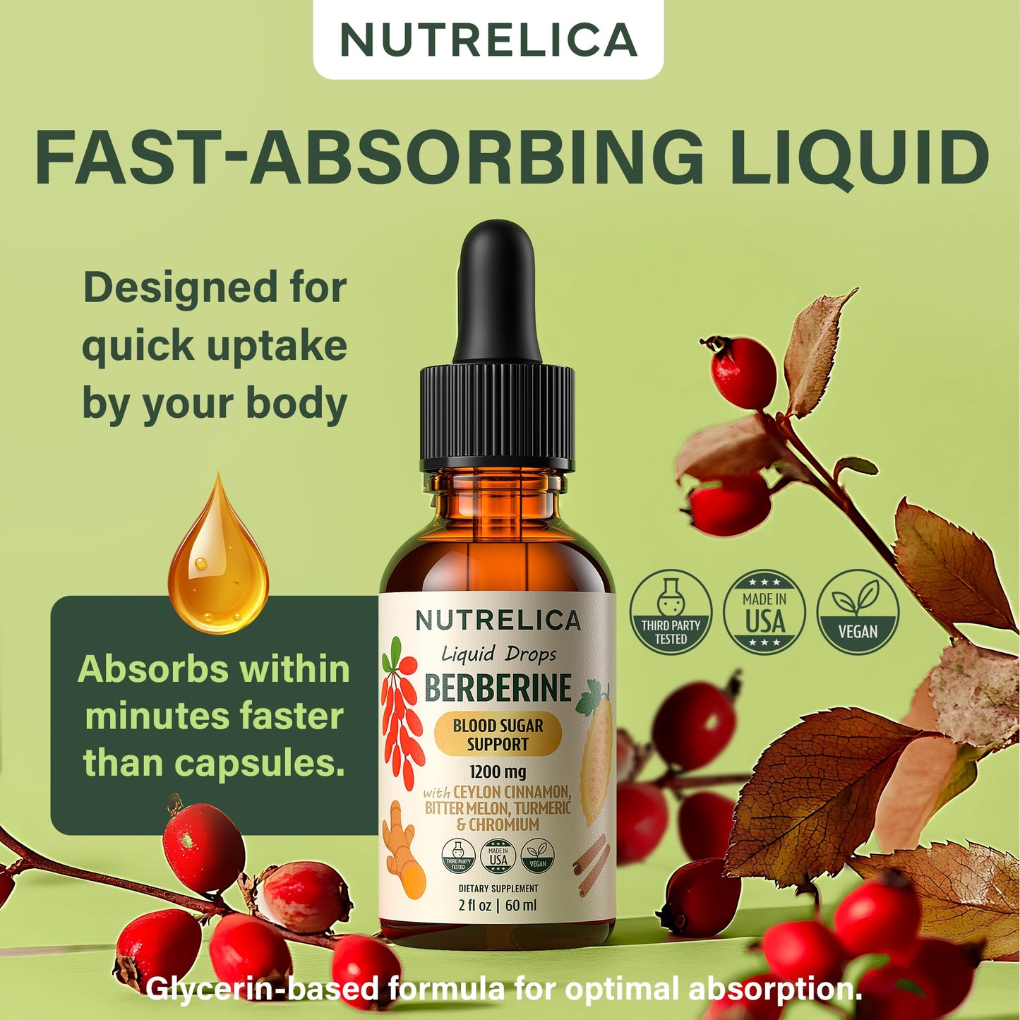 Berberine with Ceylon Cinnamon, Bitter Melon, Turmeric & Chromium – Blood Sugar Balance & Glucose Metabolism - Maple Wellness Supplements
