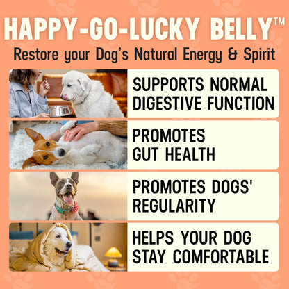 Better Dog Supplements Happy-Go-Lucky Belly by Cesar Millan - Natural Dog Digestive Support Powder – Dog Constipation Relief, Gut Balance & Regularity with Herbal Fiber for Dogs – 4oz (60-Day Supply) - Maple Wellness Supplements