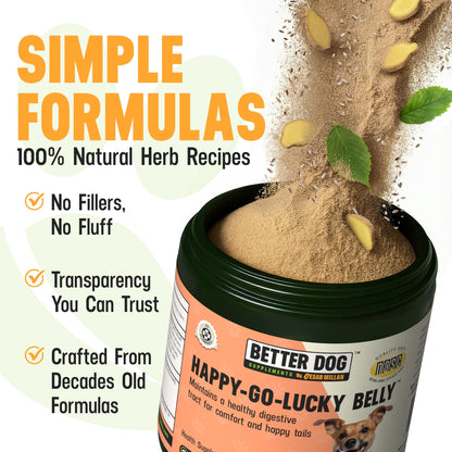 Better Dog Supplements Happy-Go-Lucky Belly by Cesar Millan - Natural Dog Digestive Support Powder – Dog Constipation Relief, Gut Balance & Regularity with Herbal Fiber for Dogs – 4oz (60-Day Supply) - Maple Wellness Supplements